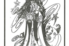 unknown_rear